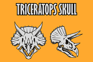 Triceratops skull