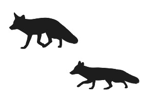 Fox Silhouette Set 1 Procreate Brush