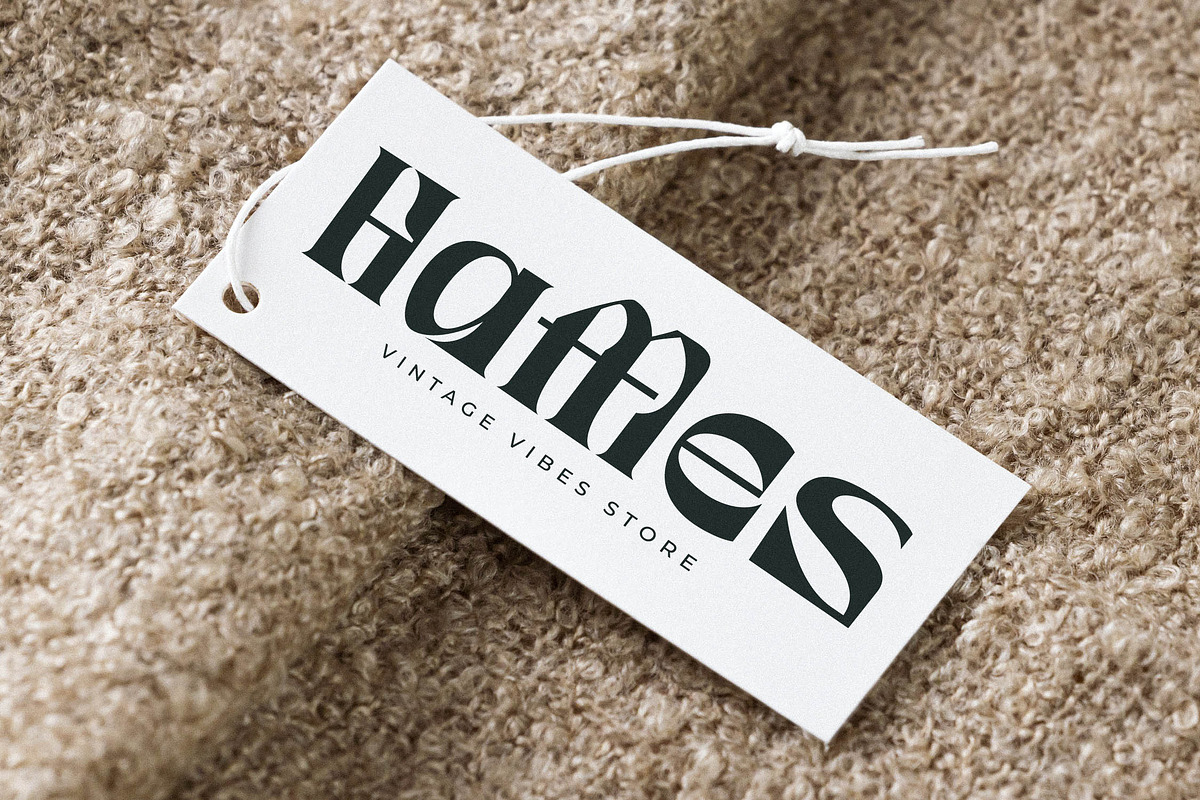 Waflerd Modern Display Font, a Serif Font by Letterena Studios (Photo 4 of 15)