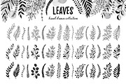Leaves sketch style set, an Object Graphic by Olly Molly (Thumbnail 2 of 4)