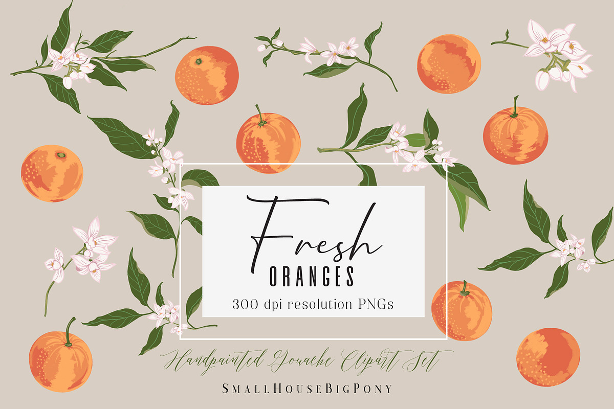 Fresh Oranges Clip art Set, a Graphic by SmallHouseBigPony (Photo 4 of 9)