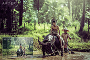 Atmospheric Mood Lightroom Presets 1, a Preset Add-On by ShutterSweets (Thumbnail 5 of 10)