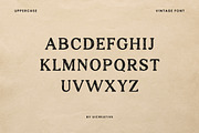 Hanoverians Vintage Font, a Serif Font by UICreative (Thumbnail 3 of 4)