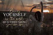 Barcelona Historia Font Duo, a Script Font by Kotak Kuning Studio (Thumbnail 4 of 13)