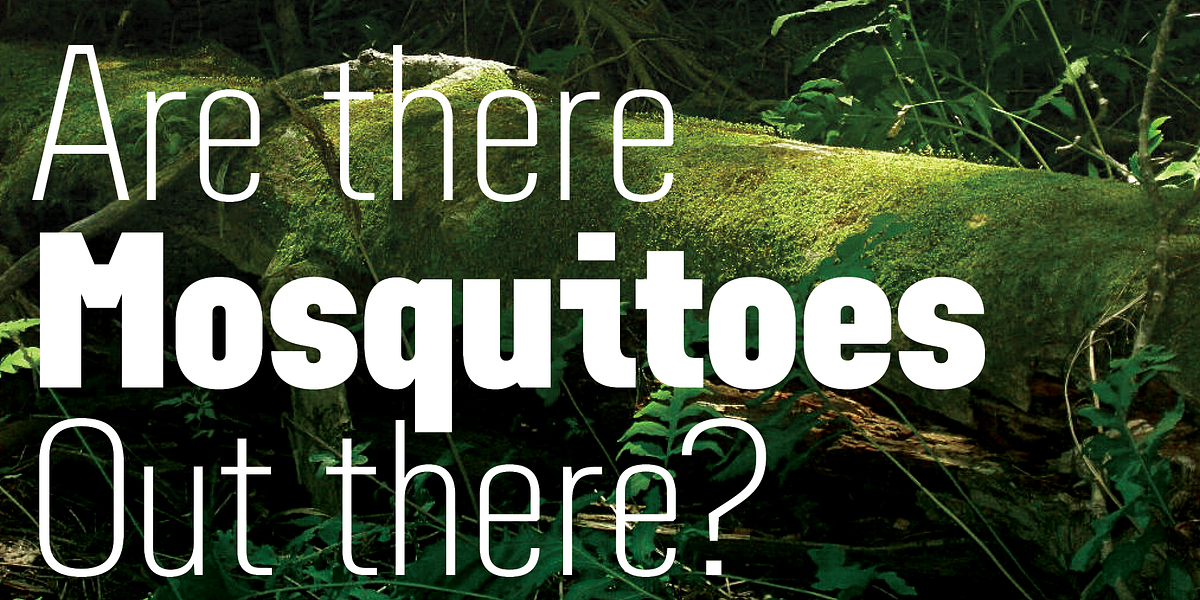 Grandheron Sans, a Sans Serif Font by André Simard (Photo 6 of 13)