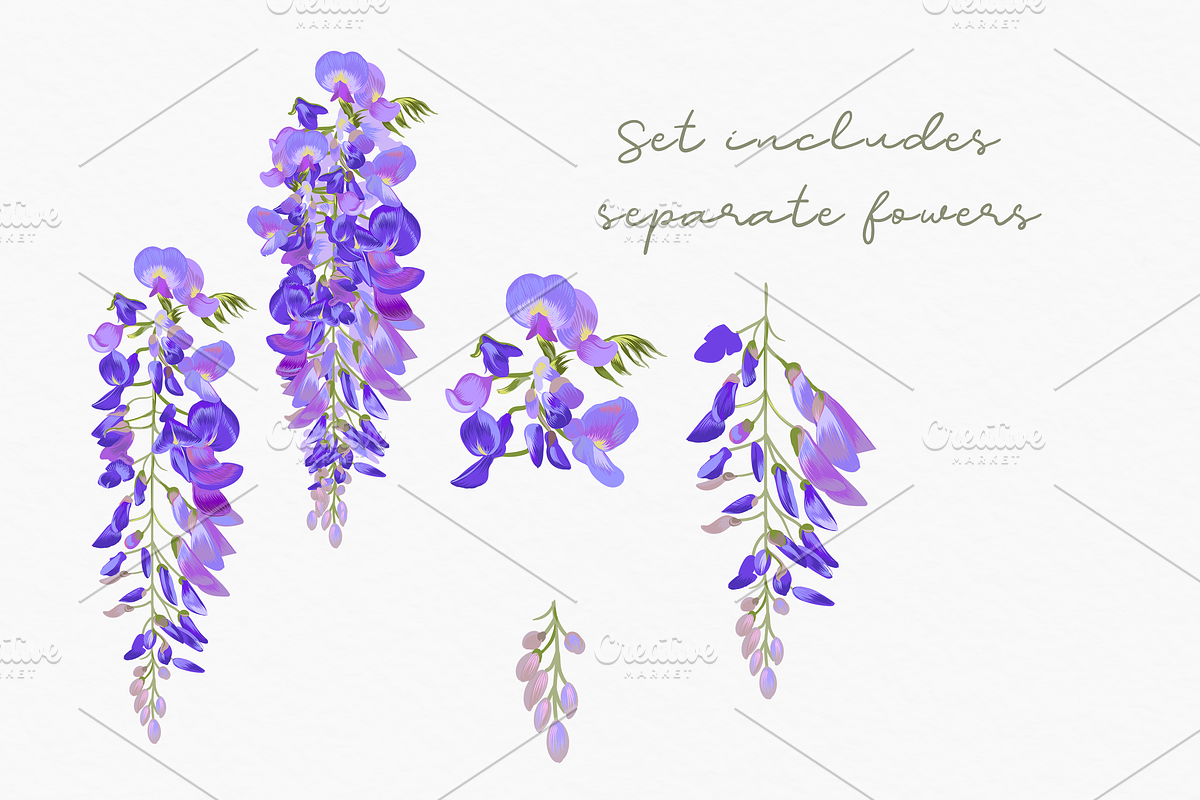 Magic wisteria vector patterns set, a Pattern Graphic by FleurArt (Photo 4 of 10)