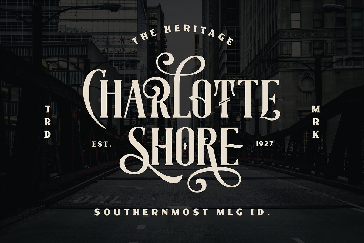 Whole Store Bundle | 95 OFF, a Serif Font by Swistblnk Std. (Photo 23 of 60)