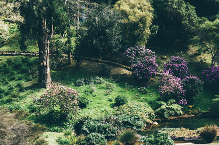 Blooming garden pond panorama, a Nature Photo by SkyNext