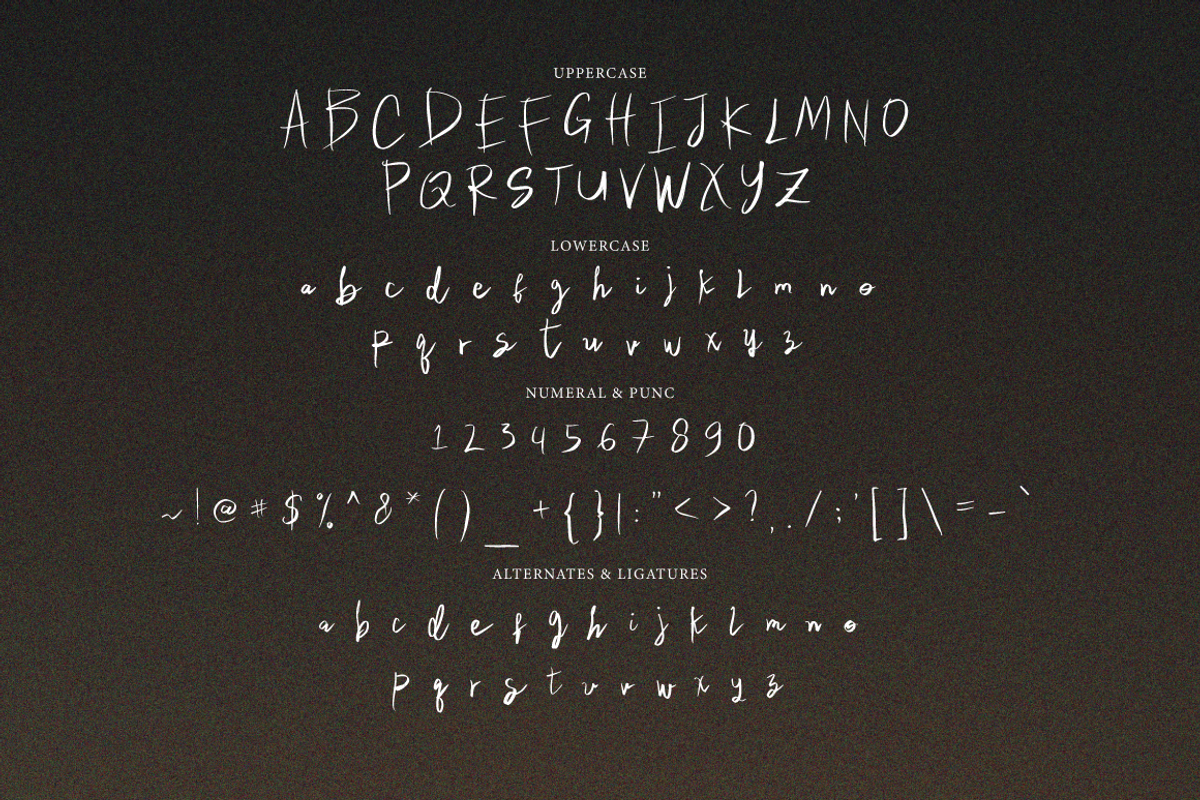Camerta Signature, a Handwritten Font by Eltypesstudio (Photo 9 of 10)