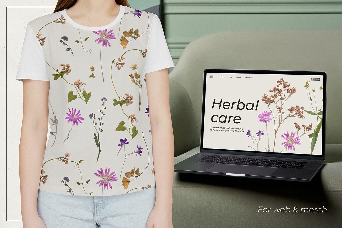 Herbarium Pressed Herbs PNG Set, a Decorative Illustration by dlinnaya (Photo 5 of 6)