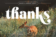 Bistika Modern Display Serif, a Serif Font by timelesstype.co (Thumbnail 20 of 20)