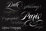Abella Script, a Handwritten Font by joelmaker (Thumbnail 5 of 15)