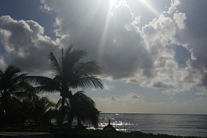 Sunburst & Clouds with Palm Trees, a Nature Photo by Cordial Punch Press