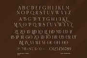 Virlone Elegant Serif Font, a Serif Font by Graphicxell (Thumbnail 8 of 8)