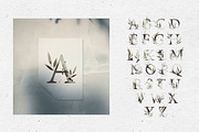 Mystery. Watercolor collection, a Decorative Illustration by Maria's little shop (Thumbnail 2 of 11)