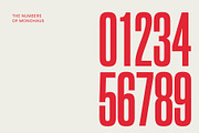 Monohaus - Tall Display Font, a Font by Simplify Creative (Thumbnail 6 of 9)