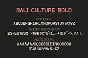 Bali Culture Font Duo, a Sans Serif Font by Lightsense (Thumbnail 10 of 13)