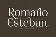 Gerislan Modern Font Serif, a Serif Font by Storytype Studio (Thumbnail 6 of 15)