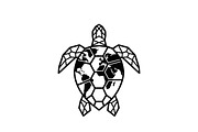 World Map Sea Turtle Bundle, an Illustration by Gaye Art (Thumbnail 16 of 31)