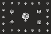 Tree Collection Logo, a Branding & Logo Template by Logosava (Thumbnail 11 of 11)