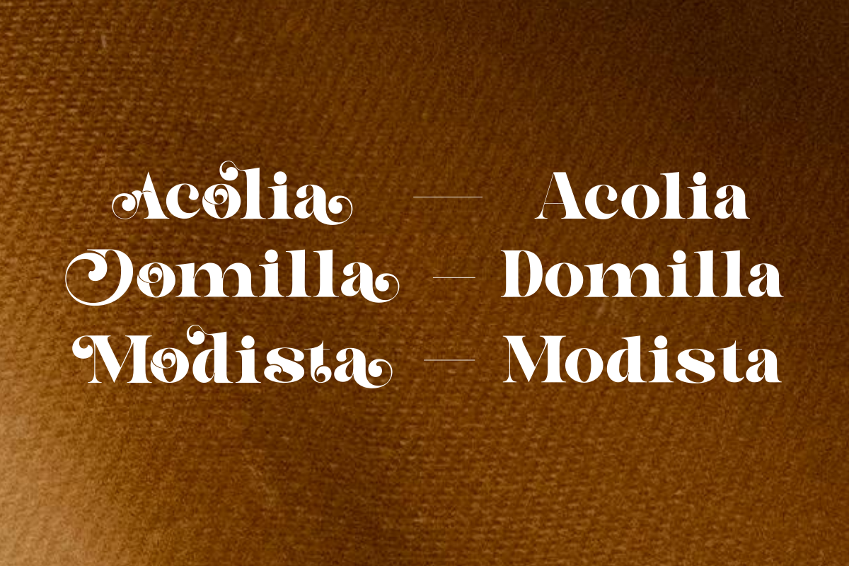 Astelin, a Serif Font by zaaintype (Photo 3 of 15)