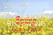 Beauty Romance Script, a Script Font by TypeClassHeroes (Thumbnail 6 of 10)