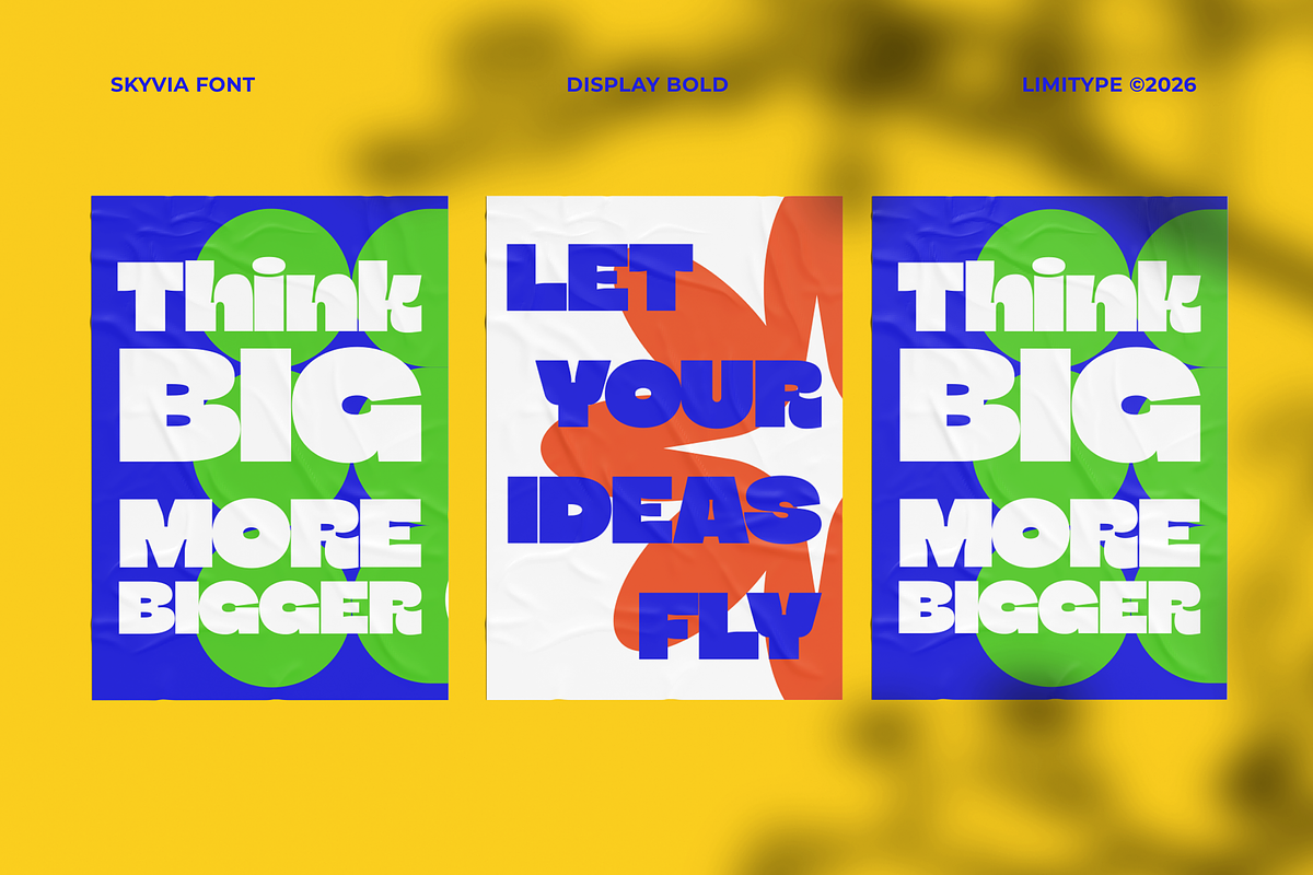 Skyvia - Bold Inktrap Font, a Sans Serif Font by limitype (Photo 5 of 12)