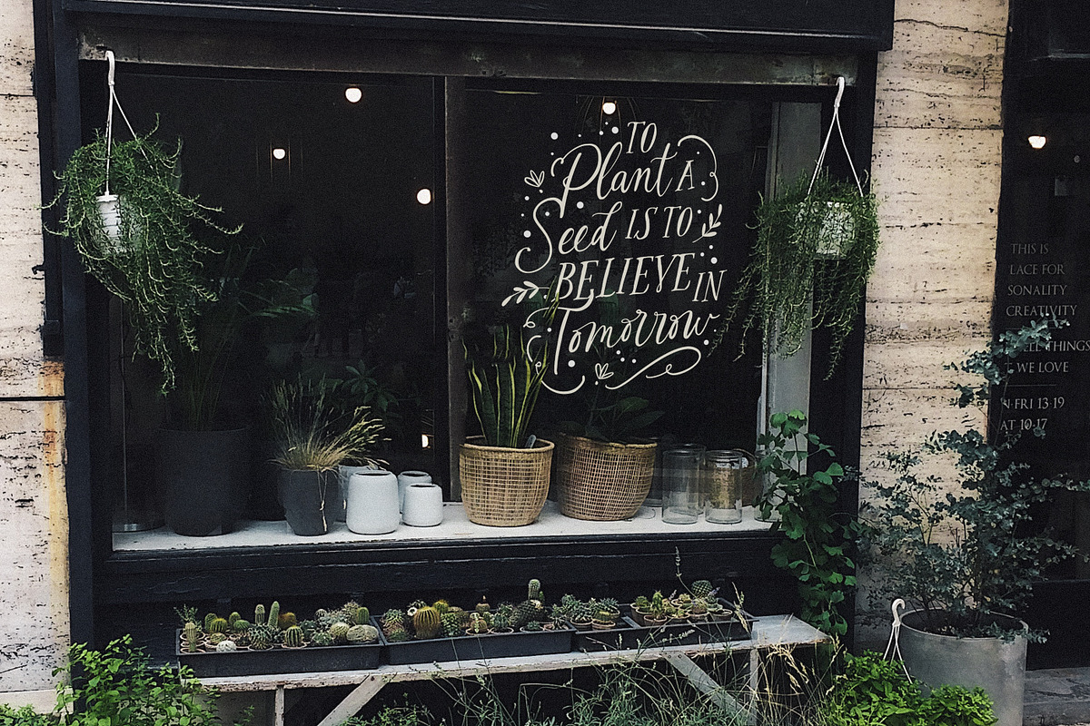 The Blooming Lovely Font Duo, a Script Font by Nicky Laatz (Photo 11 of 28)