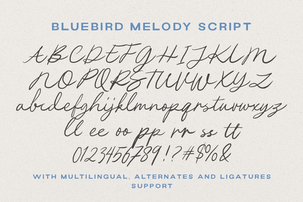 Bluebird Melody - Organic Font Duo, a Handwritten Font by Letterhend Studio (Photo 8 of 9)