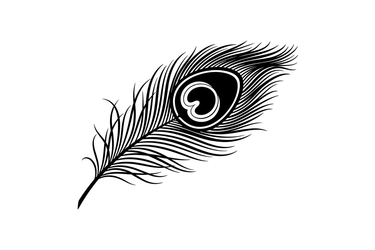 Peacock Feather Silhouette Bundle, an Illustration by jahid234 (Photo 11 of 31)