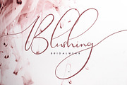 Theodoria Script Font, a Script Font by Creativeqube Design (Thumbnail 10 of 16)
