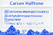 Carson Bundle, a Sans Serif Font by Quzma Supply Co. (Thumbnail 3 of 9)
