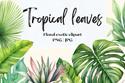 Tropical leaves patterns and element, a Decorative Illustration by irina.vaneeva (Thumbnail 1 of 11)