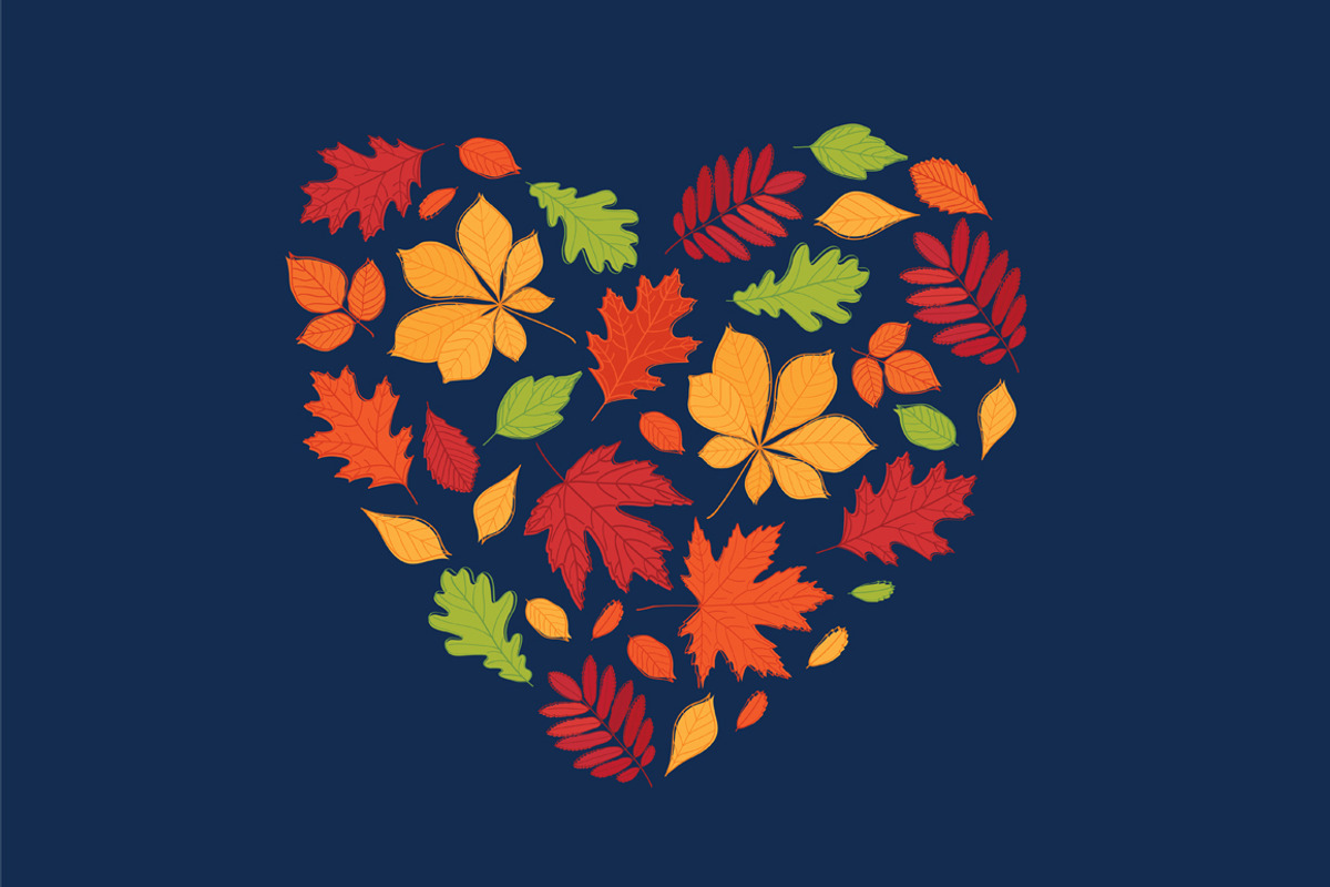 Hand drawn autumn leaves., an Education Illustration by Tkoko vectors & patterns (Photo 7 of 12)