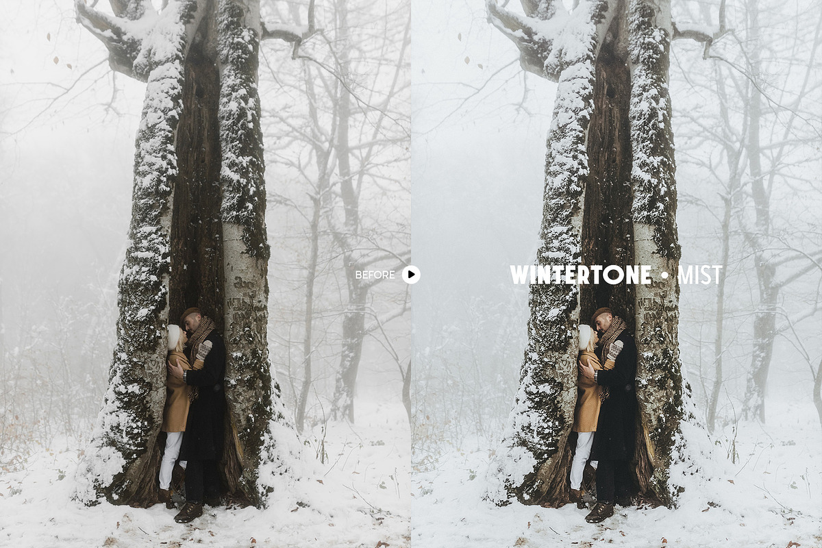Wintertone Lightroom Presets, a Preset Add-On by Presetrain Co. (Photo 7 of 9)