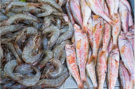 Seafood selling at the fish market, a Food & Drink Photo by Koldunov