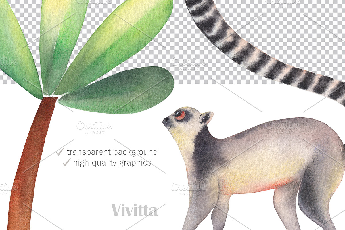 Wild Jungle, watercolor safari set, an Animal Illustration by Vivitta (Photo 2 of 5)