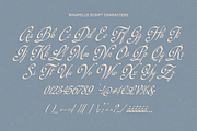 Rinapelle - Vintage Script Font, a Script Font by Get Studio (Thumbnail 13 of 15)