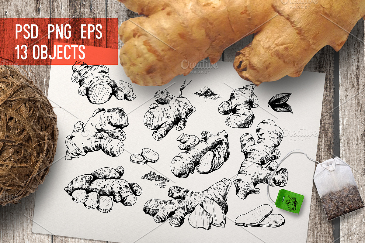 Ginger. Hand drawn illustrations, a Food Illustration by Alena Kaz (Photo 2 of 4)