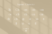 Contten Modern Ligature Serif, a Serif Font by Alfinart (Thumbnail 11 of 11)