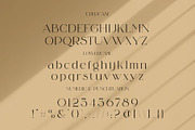 Blasing Aesthetic Serif Font, a Serif Font by Alfinart (Thumbnail 6 of 10)