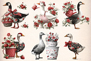 Strawberry Goose Clipart Bundle, an Illustration by Digital Artistic99 (Thumbnail 2 of 9)