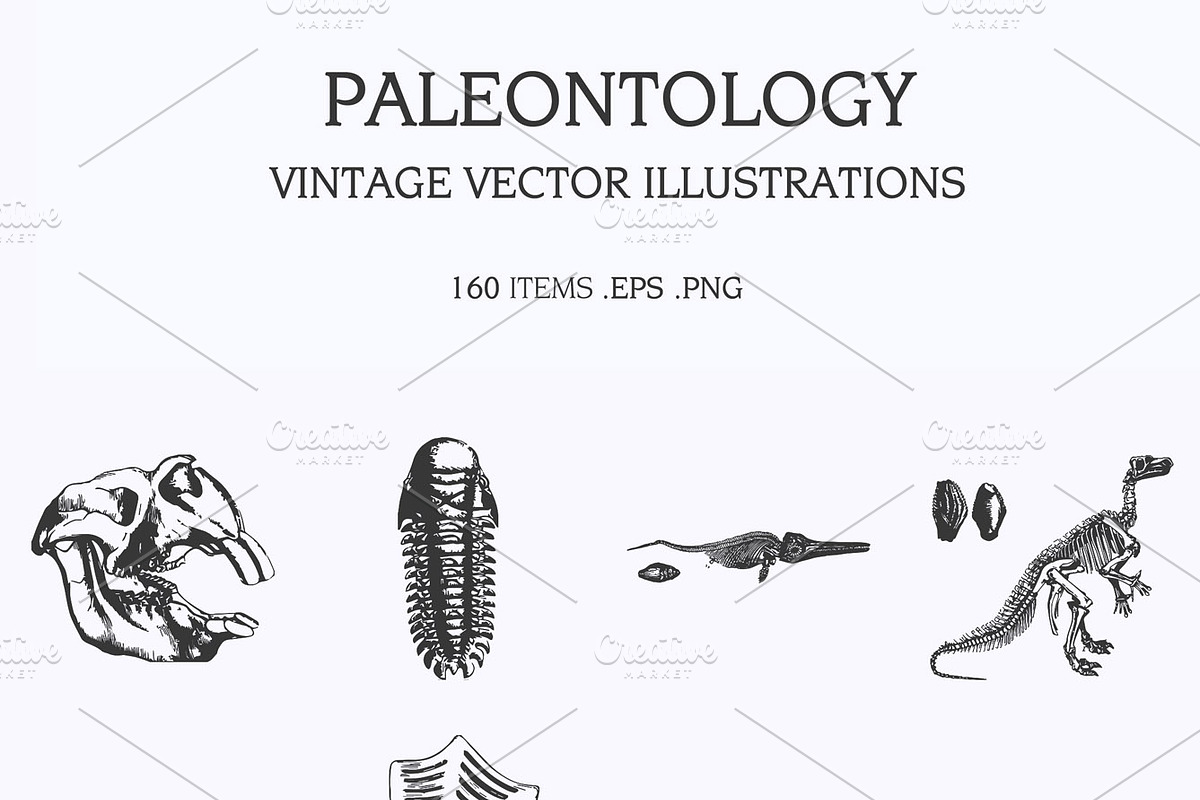 Vintage Vector Illustrations Bundle, a Food Illustration by TheBlackPixelCo (Photo 17 of 17)