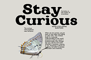 Pink Label: Y2K Groovy Retro Font, a Sans Serif Font by The Gelato Type (Thumbnail 15 of 15)
