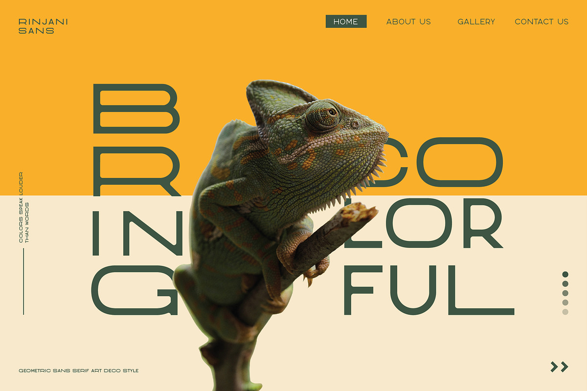 Rinjani Sans - Wide Stretch Typeface, a Sans Serif Font by CCS Type (Photo 2 of 24)