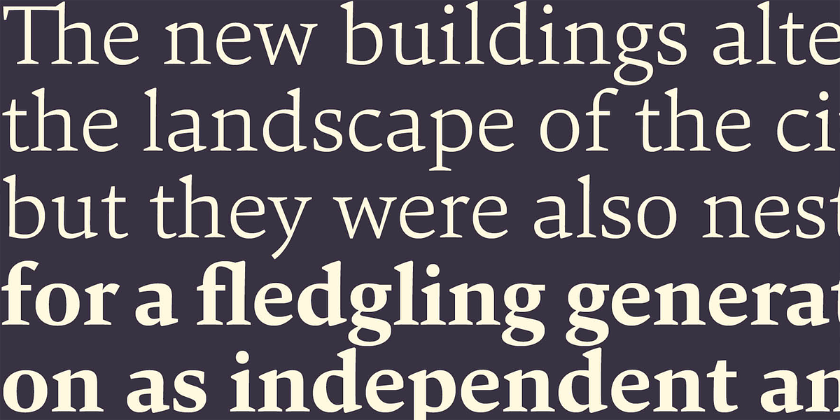 Carat, a Serif Font by Hoftype (Photo 3 of 6)