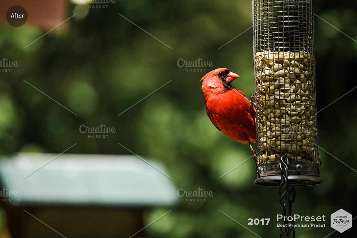 CHROME, a Preset Add-On by ProPreset (Photo 9 of 13)
