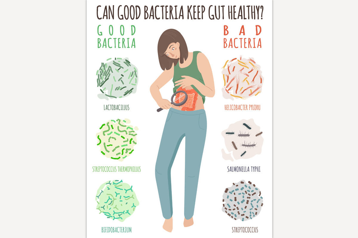 Why gut health matters, a Food Illustration by Anna's Shop