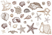 Sea Love Shells. Vector set, an Illustration by katyau (Thumbnail 2 of 5)