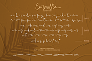 Carnollia Signature, a Script Font by Hanaksara Studio (Thumbnail 14 of 15)